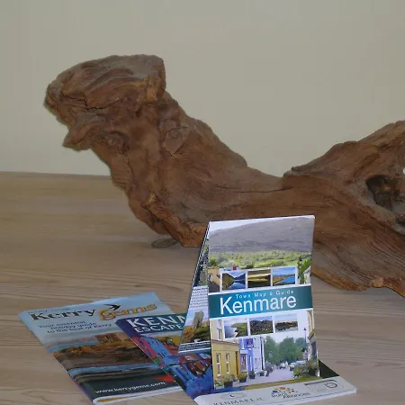 Driftwood